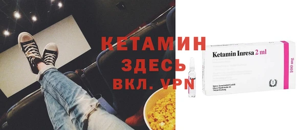 прущие грибы Абинск
