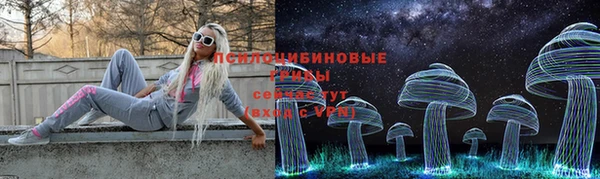 соль курить ск Алексеевка