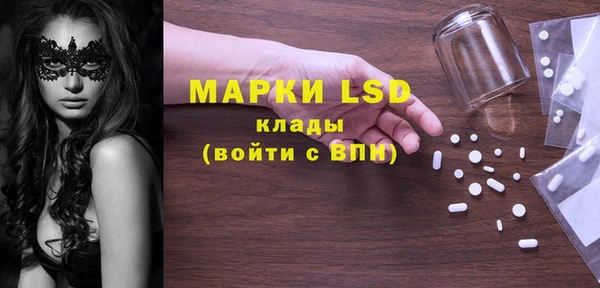 прущие грибы Абинск