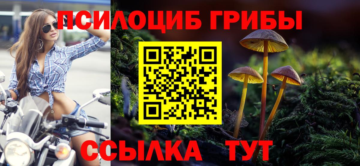 КОКАИН Тамбов