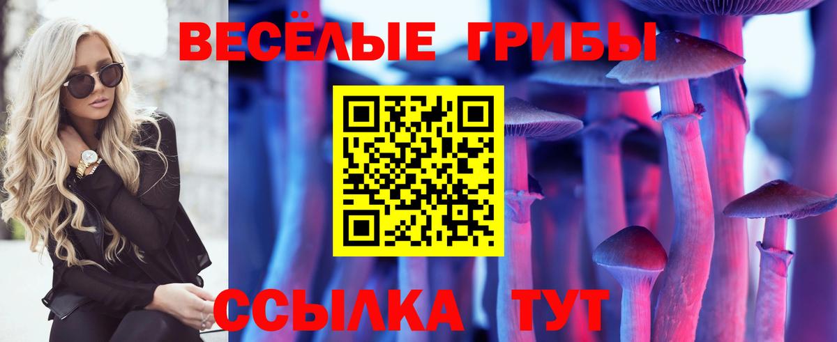 Галлюциногенные грибы Psilocybine cubensis  Псилоцибиновые грибы MAGIC MUSHROOMS  Вход с VPN  Тамбов 